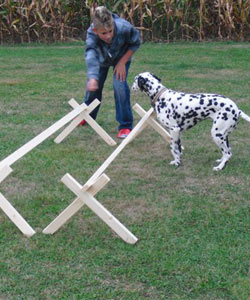 hund